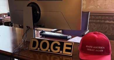 Elon Musk Discloses Doge Term and Plans to Exit DC