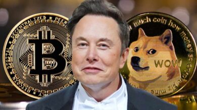 Elon Musk Steps Down as Dogecoin Chief