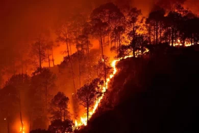 Southern California Wildfires Today – Latest SoCal Wildfire Updates