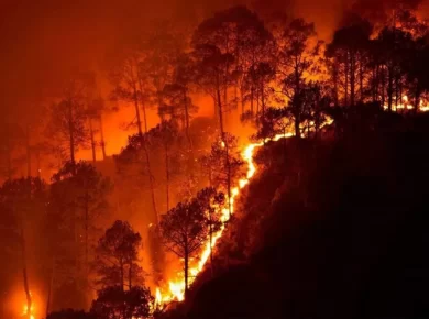 Southern California Wildfires Today – Latest SoCal Wildfire Updates