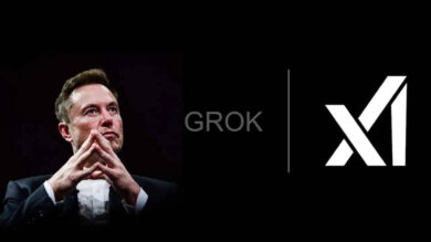 Grok medical diagnosis Elon Musk responds to viral Nikita Bier post