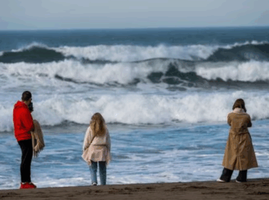 Tsunami Warning in US After Russia Earthquake: Urgent Alert for Indians in California & Hawaii