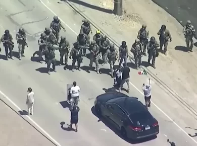 ICE Agents Protesters Clash Camarillo Cannabis Farm Raid