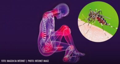 🌍 Chikungunya Global Epidemic Risk: WHO Sounds Alarm Over Rapid Spread in 2025