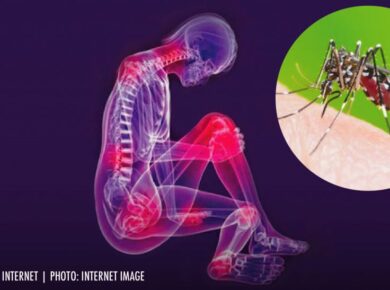 🌍 Chikungunya Global Epidemic Risk: WHO Sounds Alarm Over Rapid Spread in 2025