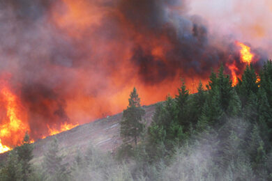🔥 Cram Fire Wildfire Threatens Oregon as Climate Conditions Worsen | Wildfire Conflagration Risk Rising