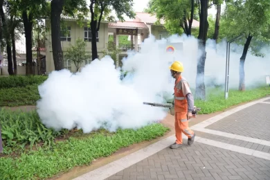 China revives Covid‑era measures to curb chikungunya outbreak