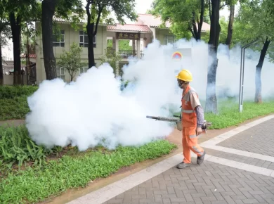 China revives Covid‑era measures to curb chikungunya outbreak