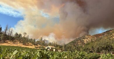 🔥 Pickett Fire Map: Calistoga Blaze Grows to 1200 Acres, Triggers Emergency Evacuations