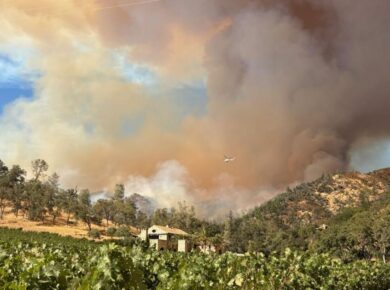 🔥 Pickett Fire Map: Calistoga Blaze Grows to 1200 Acres, Triggers Emergency Evacuations