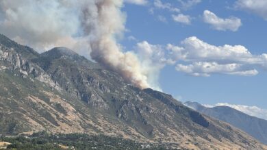 Massive Slate Canyon Fire in Provo: Wildfire Near Springville Prompts Emergency Response