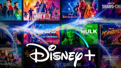 Disney+ 2025 TV Show Renewals & Cancellation: Full List Revealed