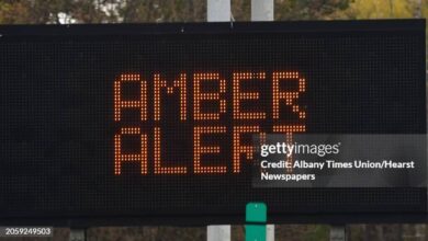 🚨 Amber Alert Issued for Missing Children and Babysitter