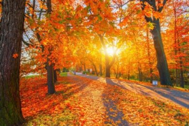 Meteorological Fall Forecast: First Week of Fall Weather Outlook