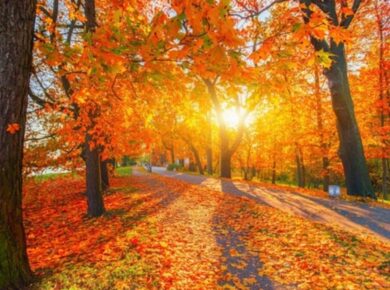 Meteorological Fall Forecast: First Week of Fall Weather Outlook