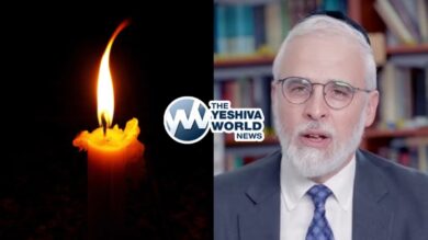 Rabbi Moshe Hauer Orthodox Union Leader Dies Suddenly