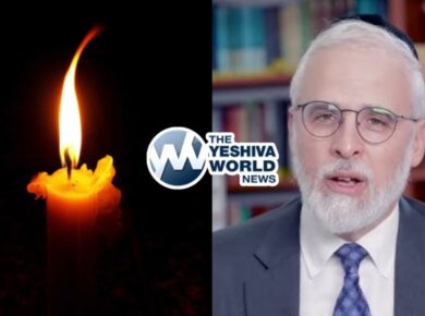 Rabbi Moshe Hauer Orthodox Union Leader Dies Suddenly