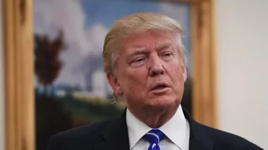 Trump’s Claims of Domestic Violence Collapse in Court: Judges Rebuke His “Hellscape” Narrative