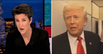 Rachel Maddow Slams Trump Over Sympathy for Prince Andrew Tied to Epstein
