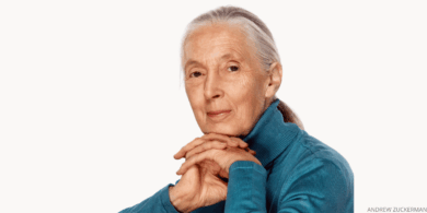 Jane Goodall Honored in Washington Tribute at Washington National Cathedral