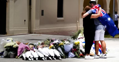 Australia Gun Law Reform After Bondi Beach Shooting: New Push for Tougher Gun Laws