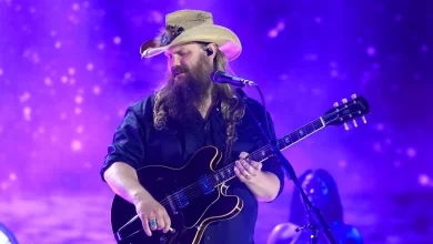 Chris Stapleton Detroit Stadium Show