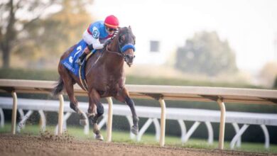 Muth First Foal: Why a New Year’s Day Birth Can Shape a Thoroughbred’s Future