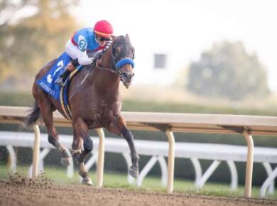 Muth First Foal: Why a New Year’s Day Birth Can Shape a Thoroughbred’s Future