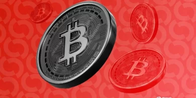 Bitcoin Price Crash: Bitcoin Drops Below $61,000 as Crypto Market Sell-Off Deepens