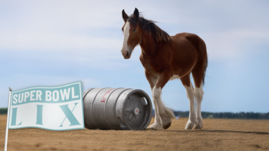 Budweiser Clydesdale Super Bowl Commercial 2026 Showcases Bald Eagle and American Spirit