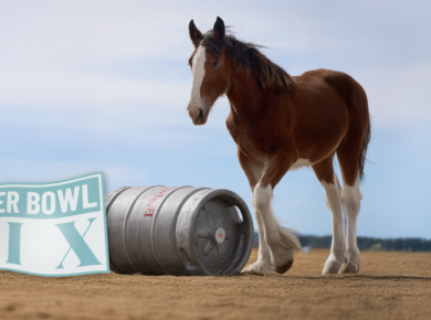 Budweiser Clydesdale Super Bowl Commercial 2026 Showcases Bald Eagle and American Spirit